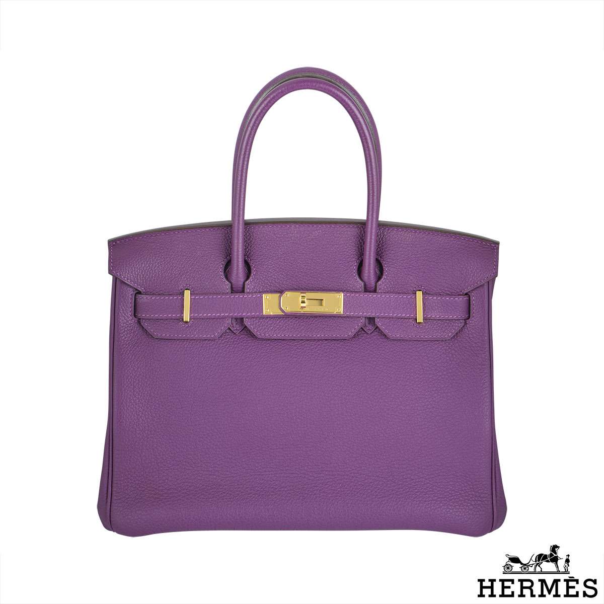 Hermes Birkin 30 cm Fjord leather Anemone Handbag